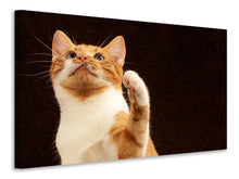 Load image into Gallery viewer, Canvas print Attention clever cat