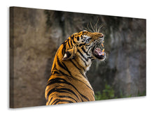 Load image into Gallery viewer, Canvas print Attention Tiger