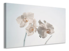 Load image into Gallery viewer, Canvas print Graceful orchids