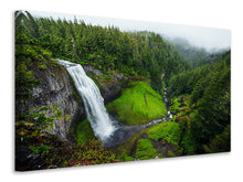 Load image into Gallery viewer, Canvas print View waterfall