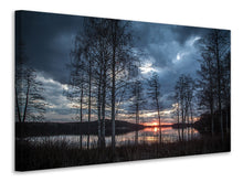 Load image into Gallery viewer, Canvas print Trees at the lake