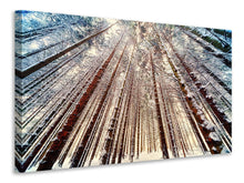 Load image into Gallery viewer, Canvas print Trees in the snow