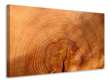 Load image into Gallery viewer, Canvas print tree rings