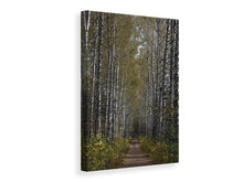 Load image into Gallery viewer, Canvas print Birch avenue