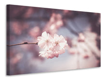 Load image into Gallery viewer, Canvas print Flower XL