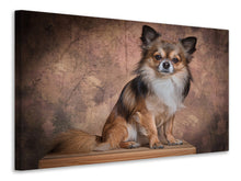 Load image into Gallery viewer, Canvas print Chihuahua portrait