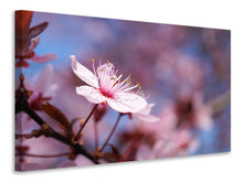 Load image into Gallery viewer, Canvas print Close up cherry blossom
