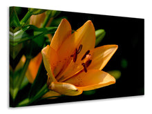 Load image into Gallery viewer, Canvas print Close up lily in orange