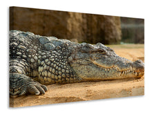 Load image into Gallery viewer, Canvas print The Nile crocodile
