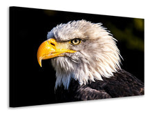 Load image into Gallery viewer, Canvas print The eagle head