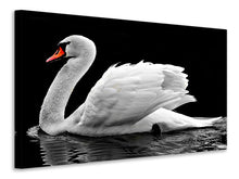 Load image into Gallery viewer, Canvas print The graceful swan
