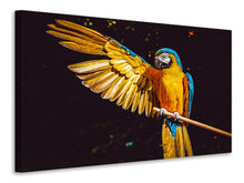 Load image into Gallery viewer, Canvas print The macaw