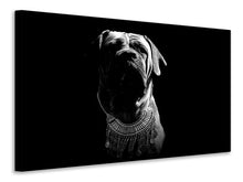 Load image into Gallery viewer, Canvas print The Boerboel sw