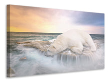 Load image into Gallery viewer, Canvas print The polar bear and the sea