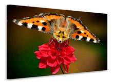 Load image into Gallery viewer, Canvas print The flying fox