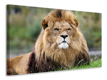 Load image into Gallery viewer, Canvas print The king of animals