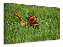Load image into Gallery viewer, Canvas print The mastiff in the grass