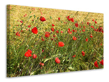 Load image into Gallery viewer, Canvas print The poppy in the wind