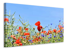 Load image into Gallery viewer, Canvas print The poppy in the flower meadow