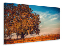 Load image into Gallery viewer, Canvas print The nut Tree