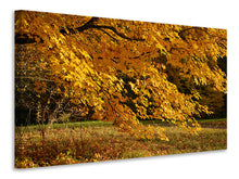 Load image into Gallery viewer, Canvas print The magnificent autumn tree