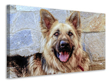 Load image into Gallery viewer, Canvas print The german shepherd