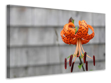 Load image into Gallery viewer, Canvas print The blossom of the Tiger Lily
