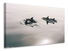 Load image into Gallery viewer, Canvas print The dolphins