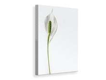 Load image into Gallery viewer, Canvas print The peace lily