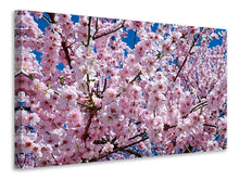 Load image into Gallery viewer, Canvas print The Japanese cherry