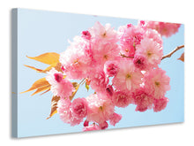 Load image into Gallery viewer, Canvas print The cherry blossoms