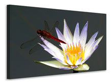 Load image into Gallery viewer, Canvas print The dragonfly on the flower