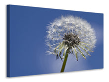Load image into Gallery viewer, Canvas print The dandelion in XXL