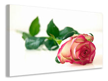 Load image into Gallery viewer, Canvas print The proud rose