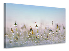 Load image into Gallery viewer, Canvas print The dew drops