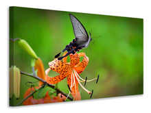 Load image into Gallery viewer, Canvas print The Tiger Lily and the butterfly