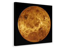 Load image into Gallery viewer, Canvas print The Venus