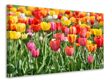 Load image into Gallery viewer, Canvas print A colorful tulip field