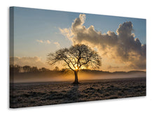 Load image into Gallery viewer, Canvas print A lonely tree