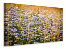 Load image into Gallery viewer, Canvas print A field full of camomile