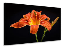 Load image into Gallery viewer, Canvas print A lily flower in orange