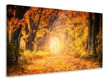 Load image into Gallery viewer, Canvas print Colors magnificent forest