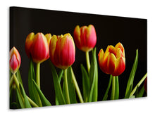 Load image into Gallery viewer, Canvas print Colorful tulips