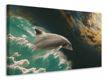 Load image into Gallery viewer, Canvas print Fascination dolphin