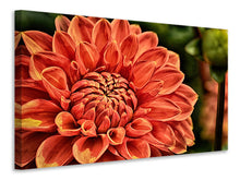 Load image into Gallery viewer, Canvas print Painting of a dahlia