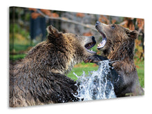 Load image into Gallery viewer, Canvas print Grizzly fight