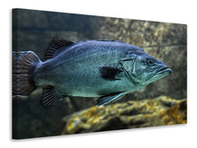 Load image into Gallery viewer, Canvas print Big fish