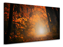 Load image into Gallery viewer, Canvas print Autumn light in the forest