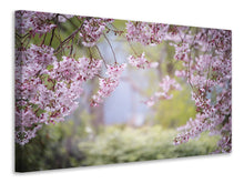 Load image into Gallery viewer, Canvas print In the beautiful spring