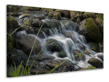 Load image into Gallery viewer, Canvas print Inspiration waterfall